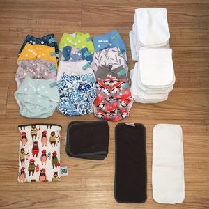 Alva Baby Cloth Diapers, Inserts, and Wet/Dry Bag
